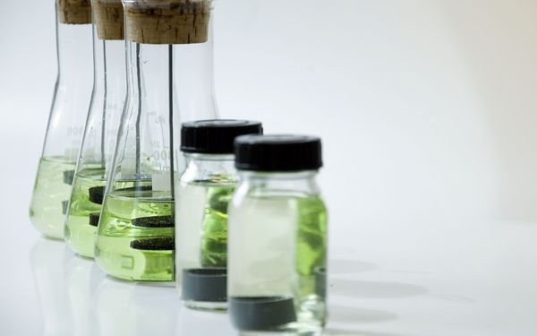 Green objects in test tubes